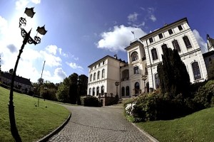 2010 ME AND THE WHITE RABBITS WHITE