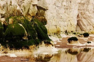 2013 ME AND THE WHITE RABBITS VIDEO SHOT